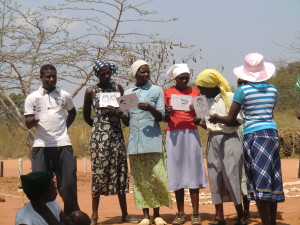 blocking the route malaria