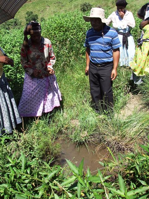 80% of households in Umzhimkulu still rely on open water sources such as this 'spring'