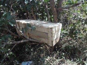 Gokwe bee hive
