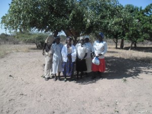 The Bee keeping Group