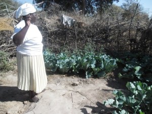 A Nutrition Garden 