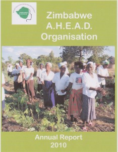 2010 report cover