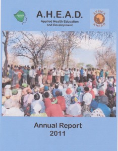2011 report cover