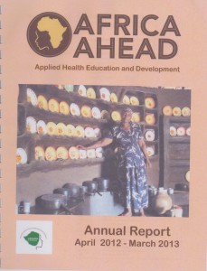 2012 Report cover
