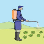 4.b.Hand Washing times (2)