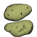 Card Carbs 2