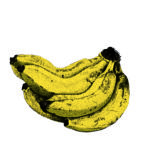 Card Fruit 1