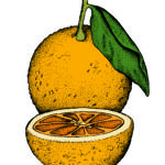 Card Fruit 5