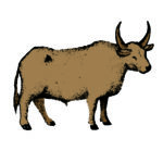 Card Protein2