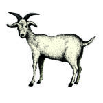 Card Protein3