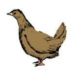 Card Protein6