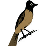 Card Protein7