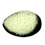 Card Protein8
