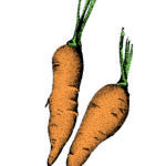 Card Veg1