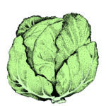 Card Veg2