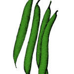 Card Veg3