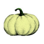 Card Veg4