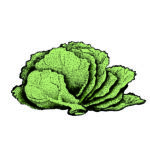 Card Veg8
