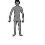 CD12 Scabies c