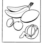 EH1 - Fruit