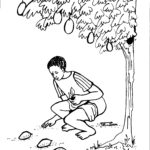 EH4 Defecation near fruit tree