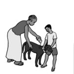 H11 - Putting Flea Powder on Dog 2