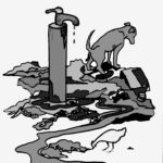 W3- Polluted communal tap with dog c