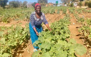 WhatsApp Image 2025-08-04 at 20.43.56